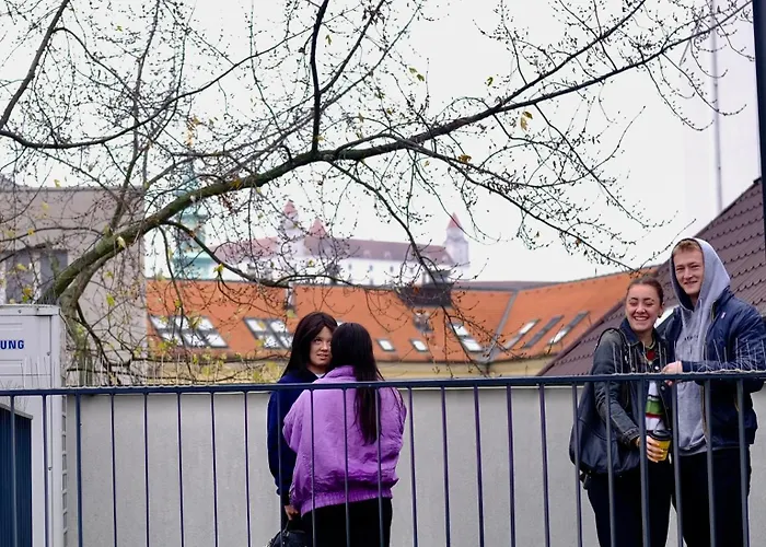 Wild ElephantsHostel